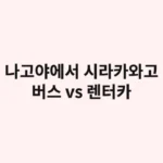 나고야에서 시라카와고 가는 법 (버스 vs 렌터카) 친구와 인생샷 여행