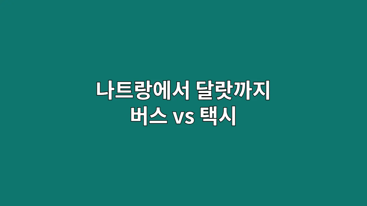 나트랑에서 달랏까지 이동법 총정리 (버스 vs 택시)