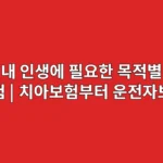 내 인생에 필요한 목적별 보험 | 치아보험부터 운전자보험까지