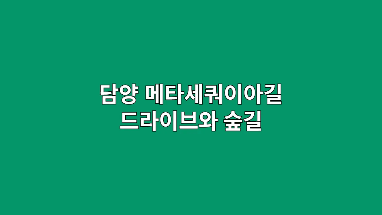 담양메타세쿼이아길드