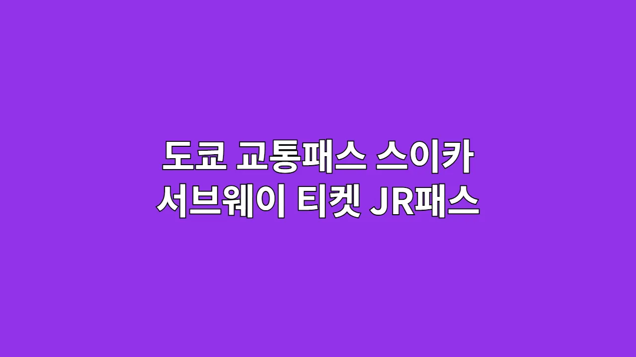 도쿄 교통패스 스이카 서브웨이 티켓 JR패스