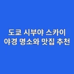 도쿄 시부야 스카이 야경 명소와 맛집 추천