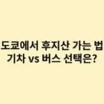 도쿄에서 후지산 가는 법, 기차 vs 버스 당신의 스타일에 맞는 선택은?