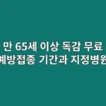 만 65세 이상 독감 무료 예방접종 기간과 지정병원 찾는 법
