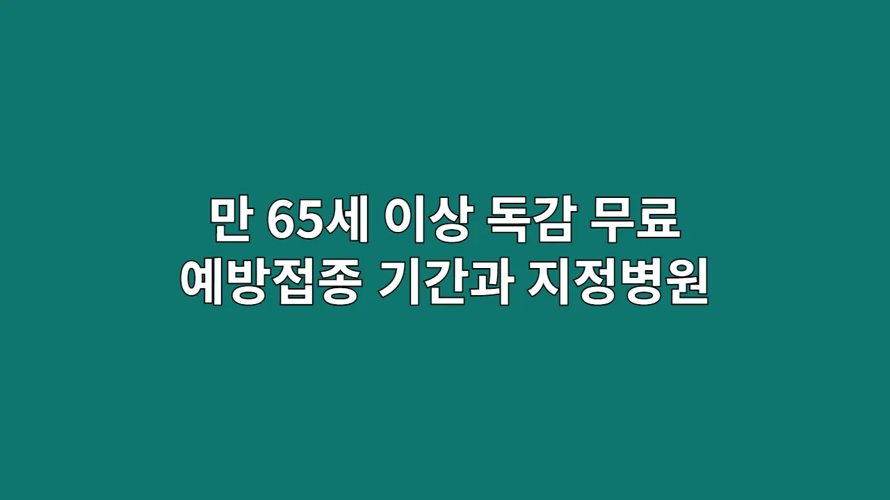 만 65세 이상 독감 무료 예방접종 기간과 지정병원 찾는 법