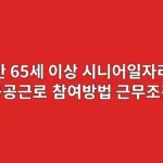 만 65세 이상 시니어일자리 공공근로 참여방법과 근무조건
