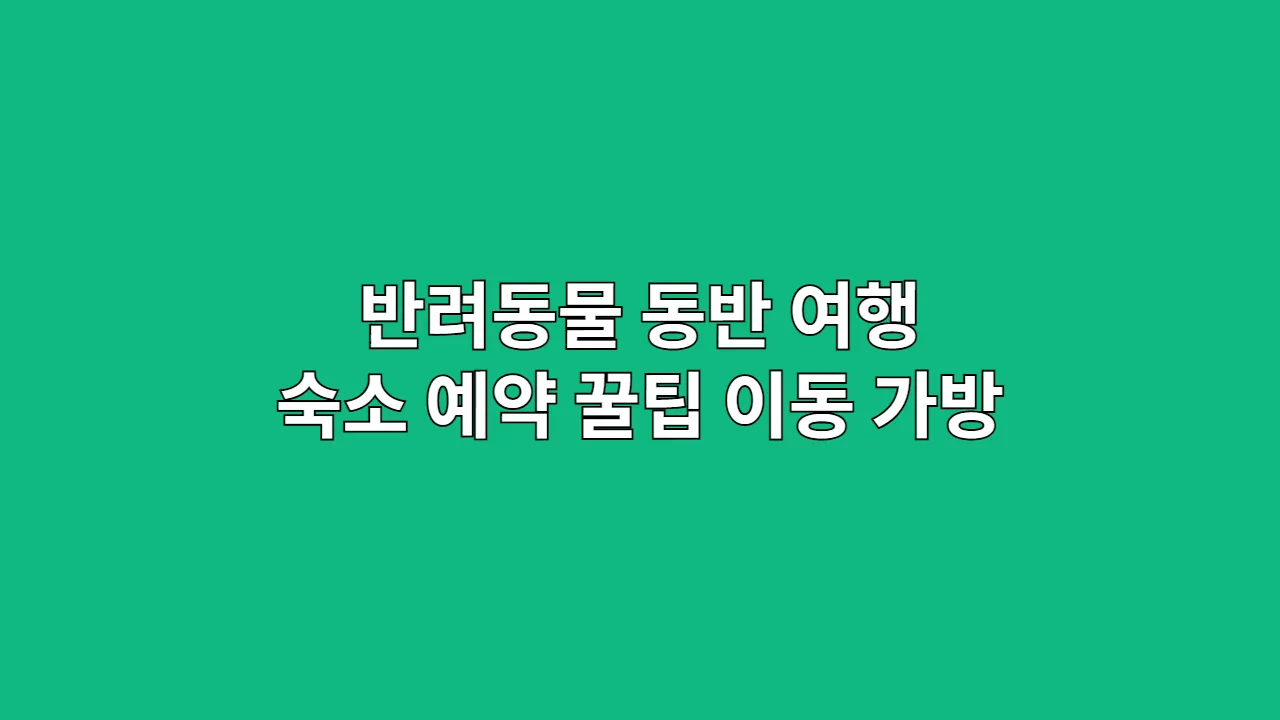 초보자를 위한 반려동물 동반 여행 A to Z: 숙소 예약 꿀팁부터 이동 가방 훈련까지 5단계만 따라 하면 실패 없이 완성