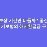 보장 기간만 다를까? 종신/정기보험의 해지환급금 구조 차이점 분석