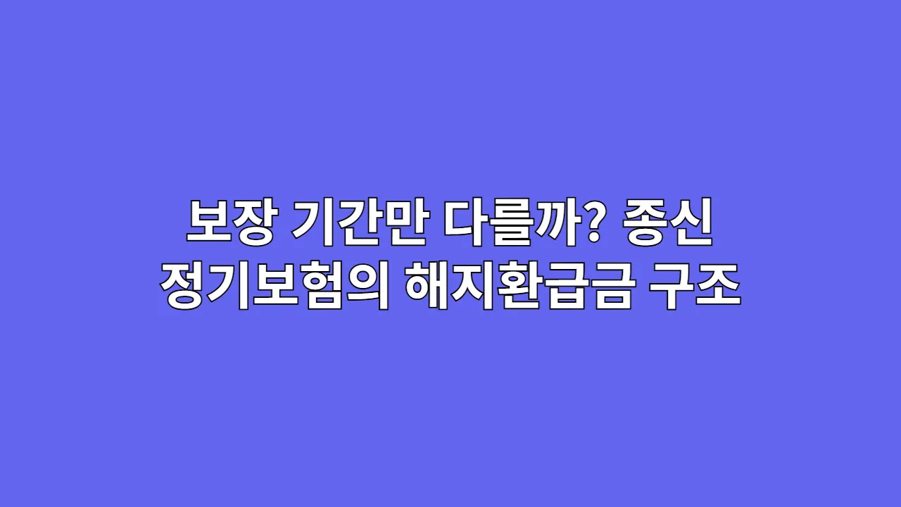 보장 기간만 다를까? 종신/정기보험의 해지환급금 구조 차이점 분석