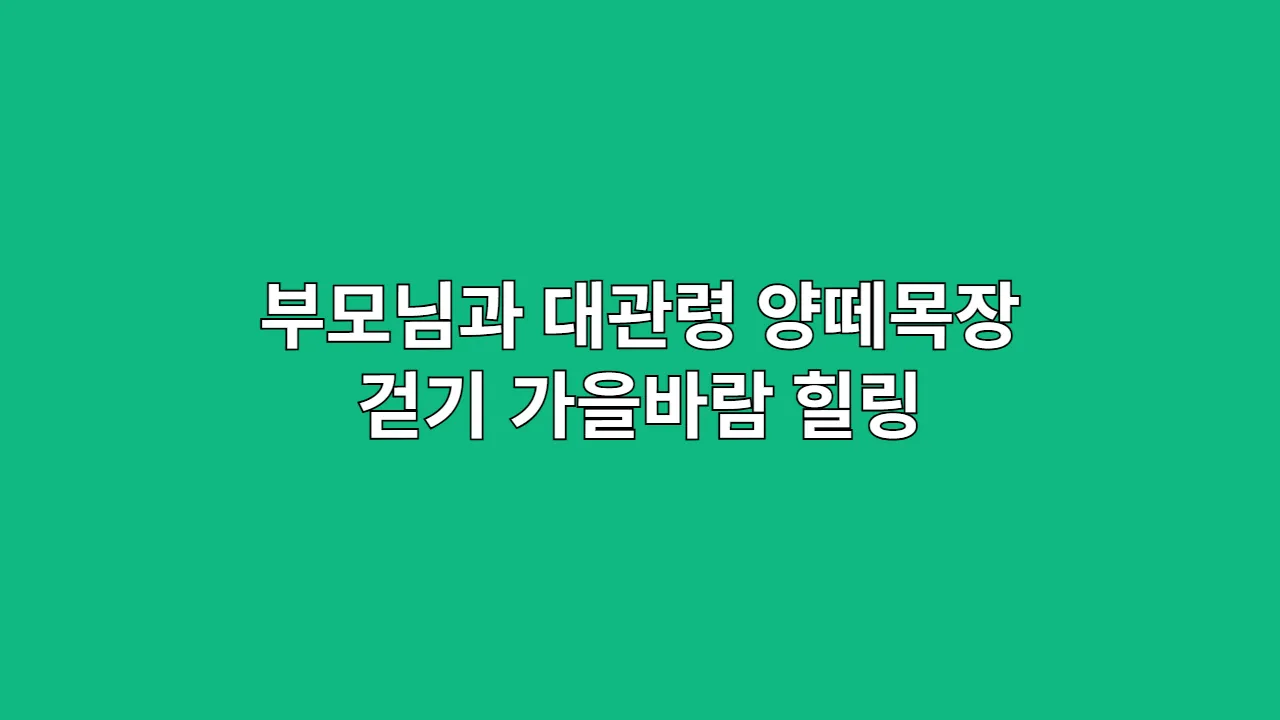 부모님과 함께 걷는 가을, 대관령 양떼목장 힐링 산책