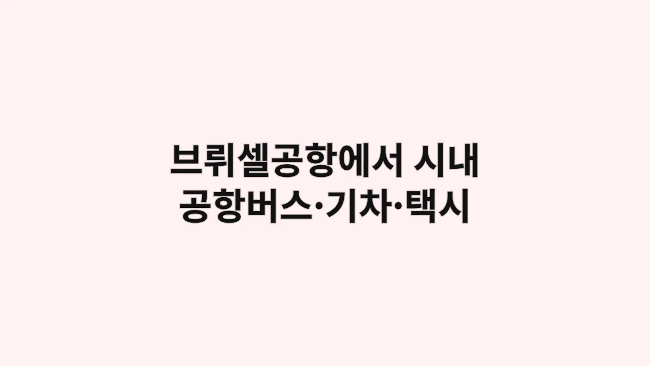 아이와 함께, 브뤼셀공항에서 시내까지 가장 안전하고 편안한 방법