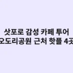 삿포로 감성 카페 투어, 오도리공원 근처 인생샷 핫플 4곳