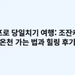 삿포로 당일치기 여행: 조잔케이 온천 가는 법과 힐링 후기