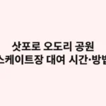 삿포로 오도리 공원 스케이트장 대여: 운영 시간·이용 방법
