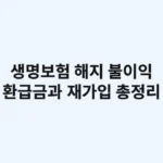 생명보험 해지 불이익: 환급금과 재가입 총정리