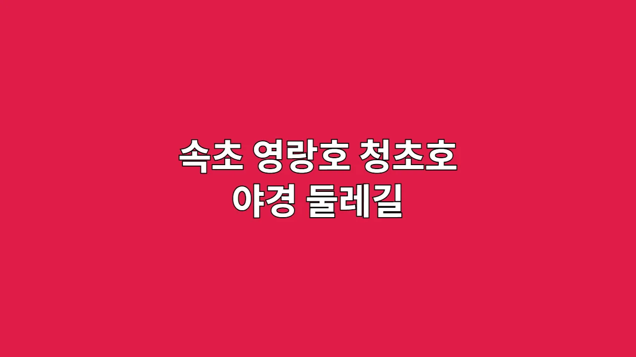 추석·설 연휴 속초 영랑호·청초호 호수 야경 따라 걷는 둘레길 추천