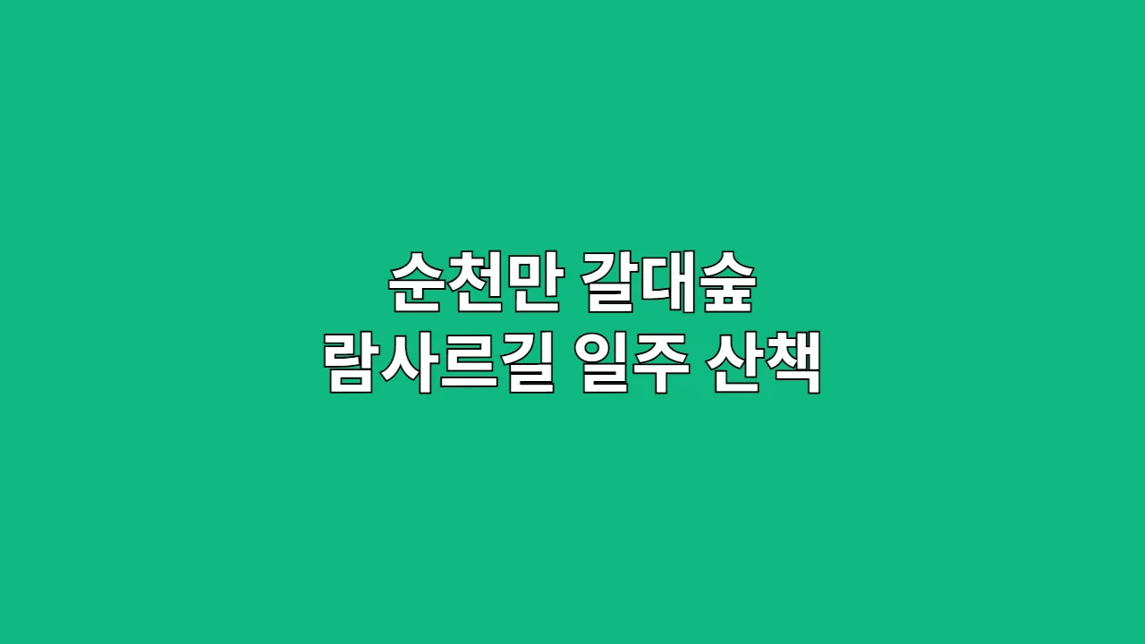 추석·설 연휴 순천만 갈대숲·전망대·람사르길까지 이어지는 산책 루트