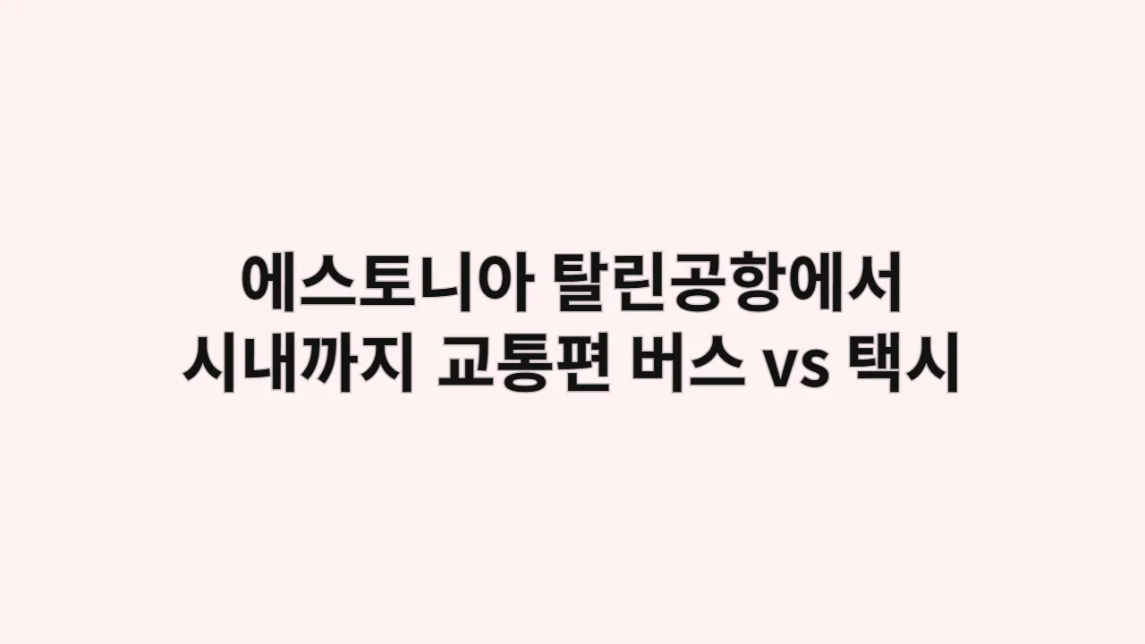 에스토니아 탈린공항에서 시내까지 교통편 비교, 버스 vs 택시
