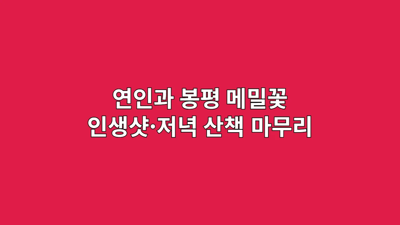 연인과 떠나는 평창 감성 여행: 봉평 메밀꽃밭과 낭만적인 저녁 산책