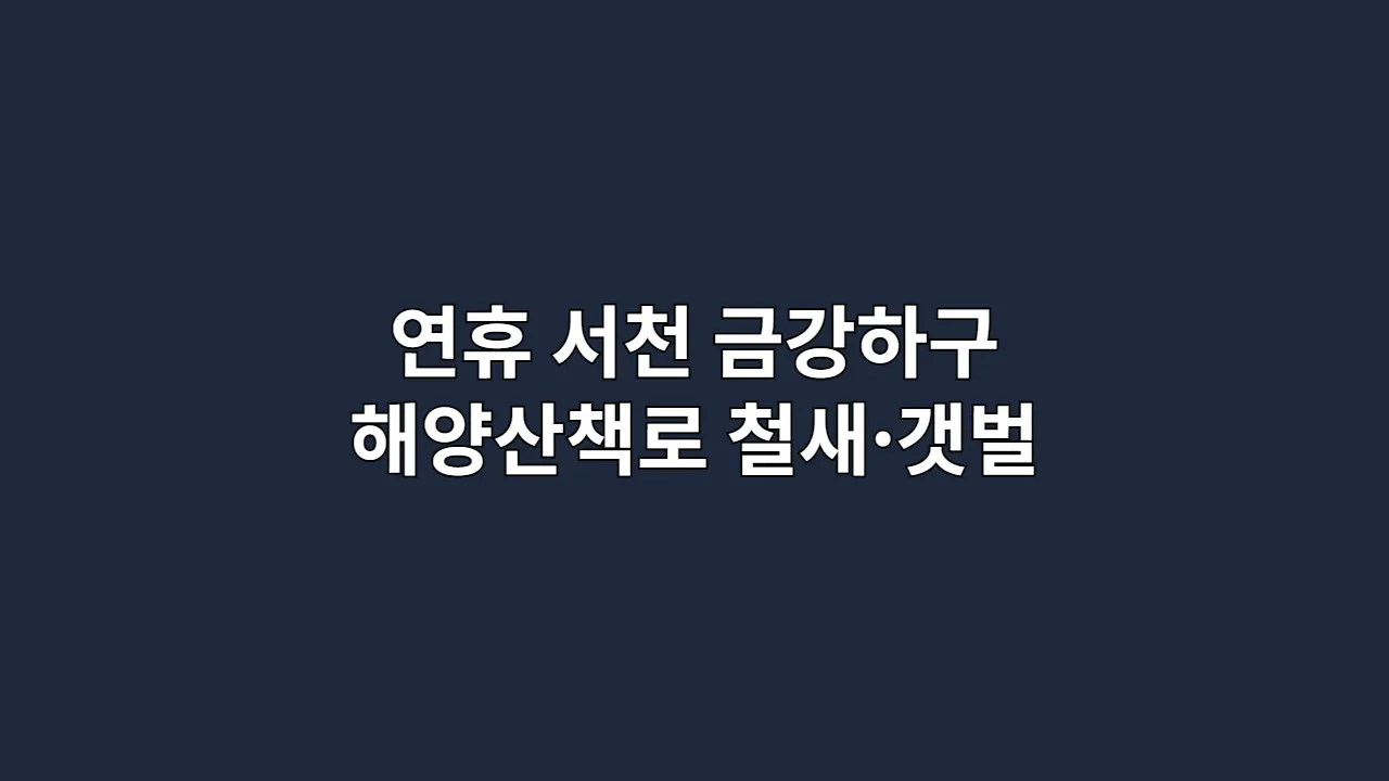 추석·설 연휴, 서천 금강하구 해양산책로에서 철새·갯벌 전망 즐기기