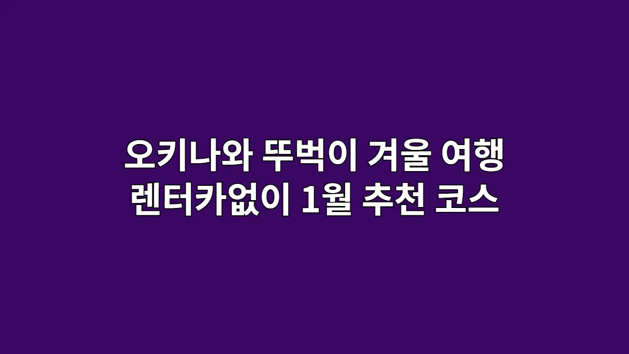 오키나와 뚜벅이 겨울 여행: 렌터카 없이 즐기는 1월 추천 코스 A to Z