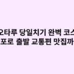 오타루 당일치기 완벽 코스: 삿포로 출발 교통편부터 인생샷 맛집까지
