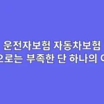 운전자보험, 자동차보험만으로는 부족한 단 하나의 이유 (형사 합의금)