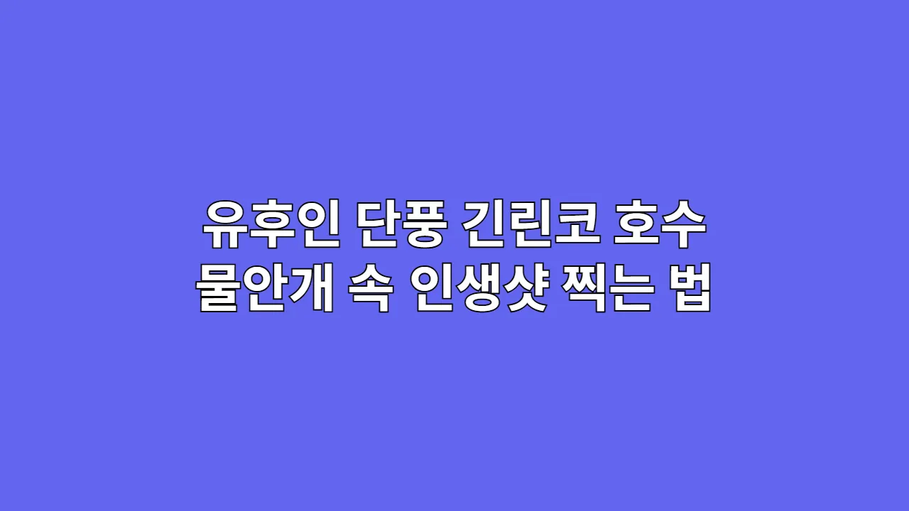 유후인 단풍과 긴린코 호수: 물안개 속 인생샷 찍는 법