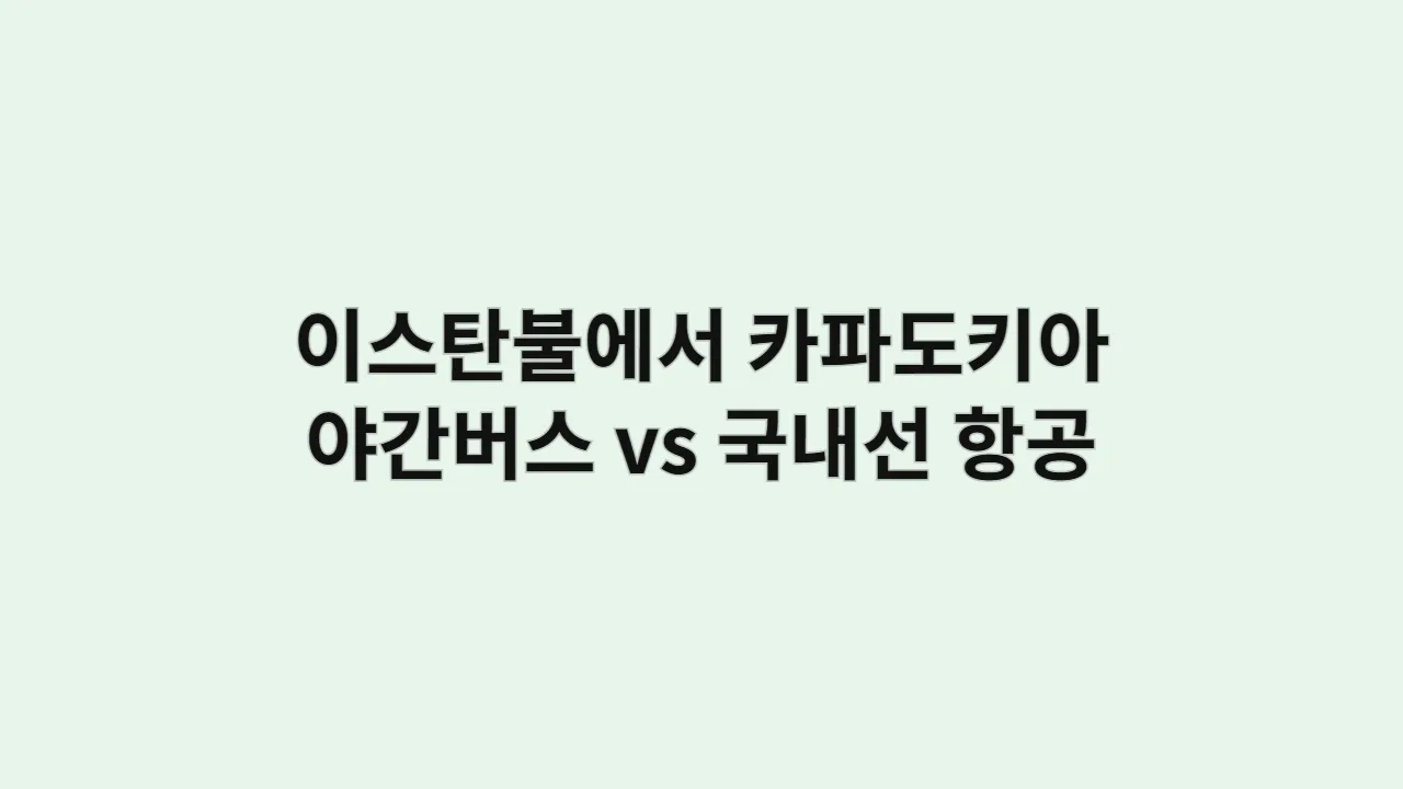 이스탄불에서 카파도키아까지 야간버스 vs 국내선 항공 비교