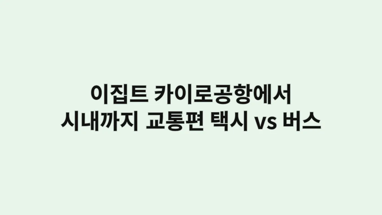 이집트 카이로공항에서 시내까지 교통편 추천, 택시 vs 버스