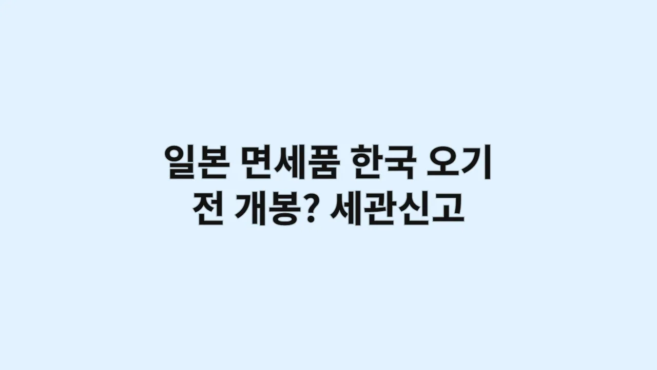 일본 면세품, 한국 오기 전 개봉해도 될까? (세관신고, 주의사항 총정리)