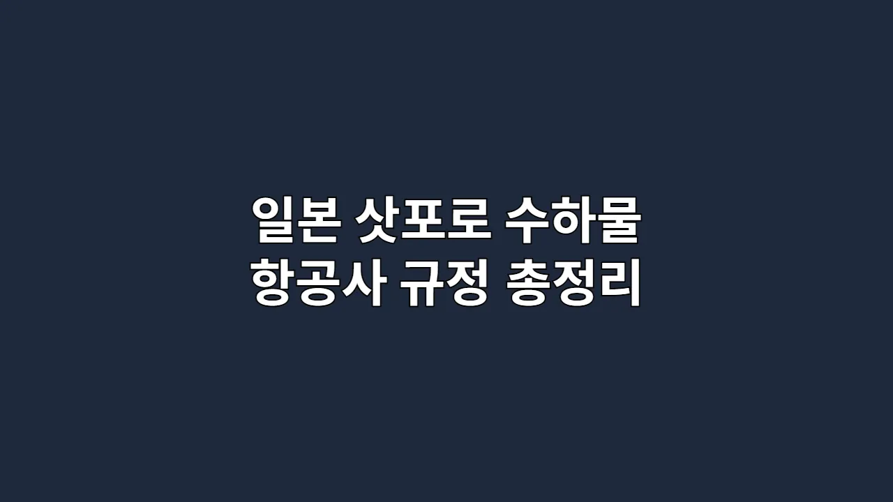 일본 삿포로 수하물 항공사 규정 총정리