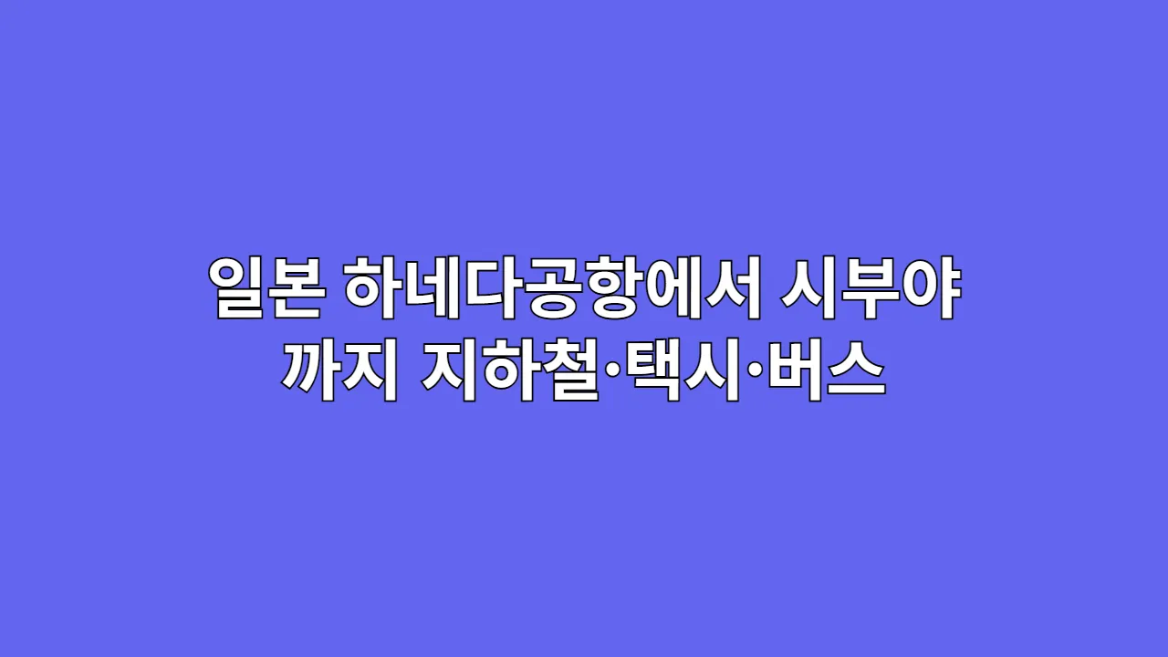 일본 하네다공항에서 시부야까지 이동 루트 총정리, 지하철·택시·버스 비교