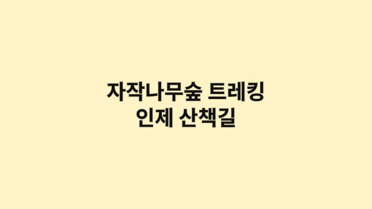 하얀 자작나무숲 트레킹, 인제의 인기 산책길 추석·설 연휴 추천