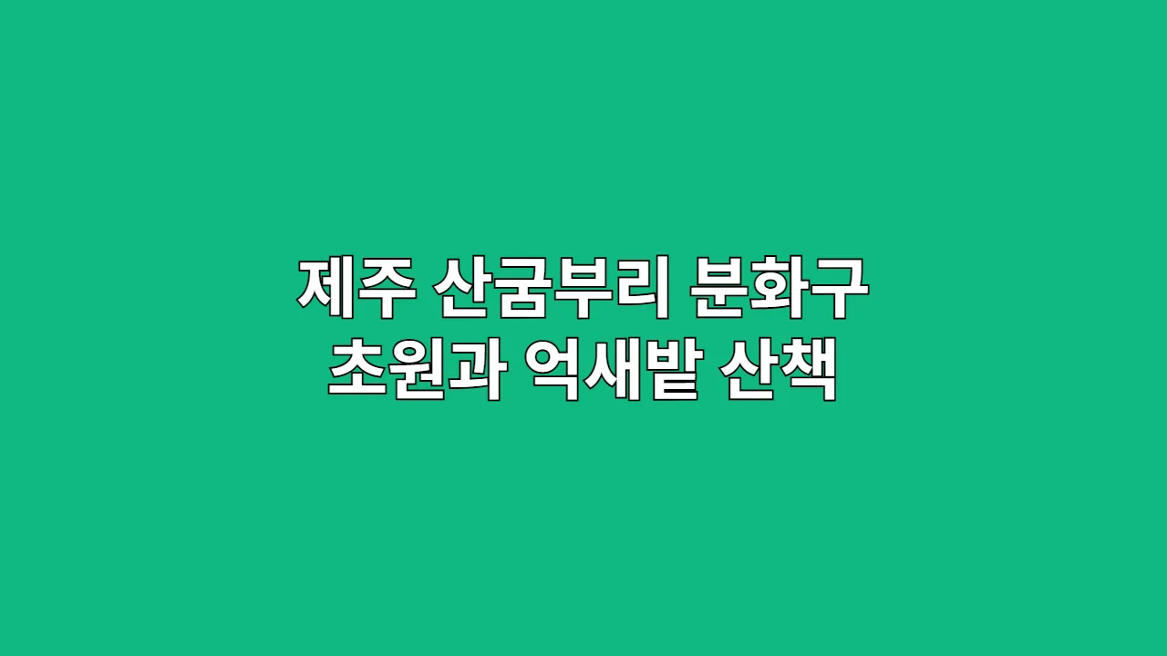 추석·설 연휴 제주 산굼부리 분화구 초원과 억새밭 산책 코스 감상