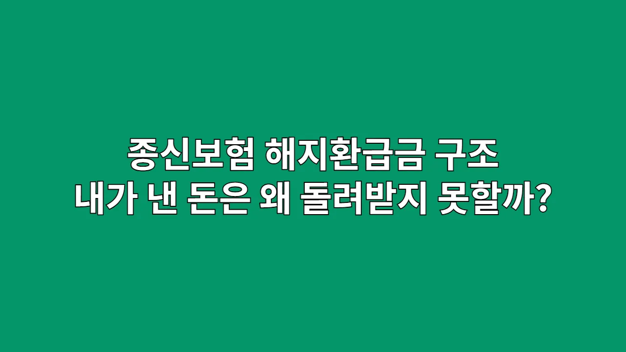종신보험 해지환급금 구조 파헤치기: 내가 낸 돈은 왜 돌려받지 못할까?