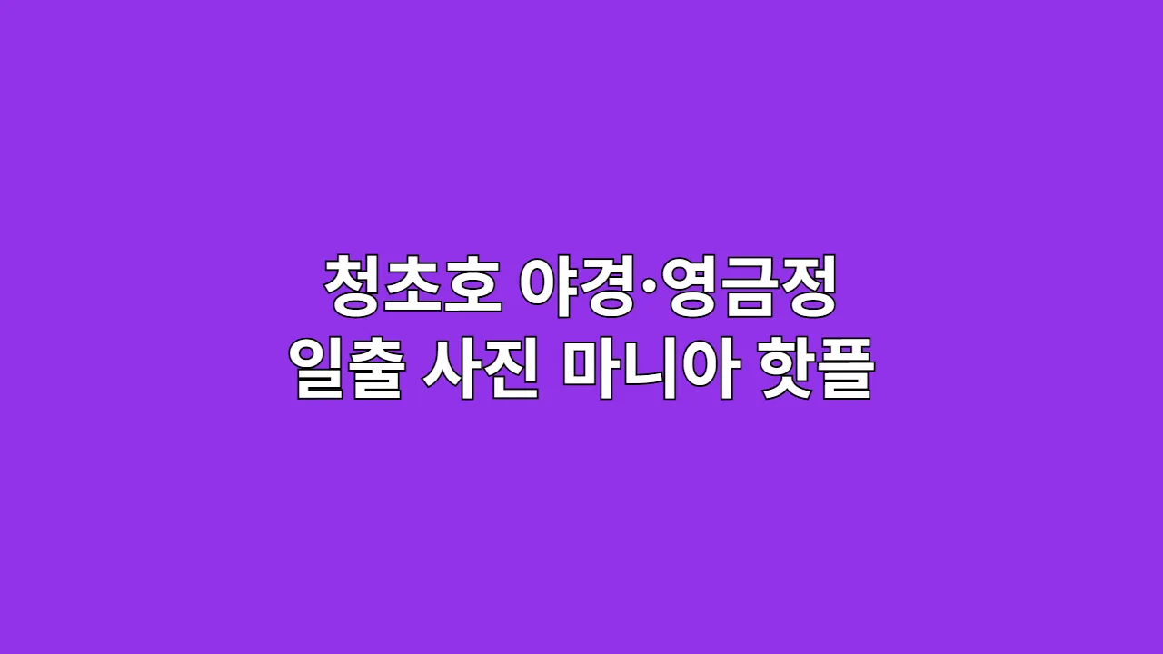 청초호 야경과 영금정 일출은 속초 사진 마니아들이 찾는 핫플