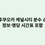 후쿠오카 캐널시티 분수 쇼 관람 정보·명당: 시간표 포함