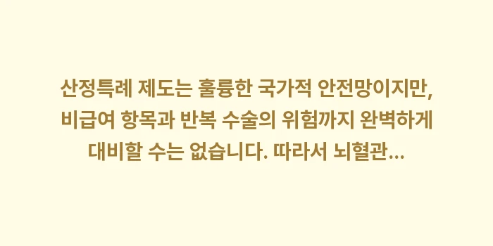 산정특례 제도 뇌혈관 수술비 특약: 산정특례 제도는 훌륭한 국가... (1)
