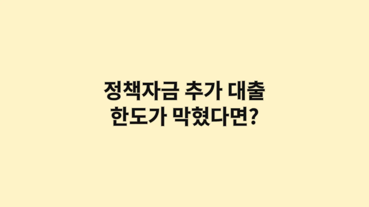 정책자금추가대출한도가막혔다면