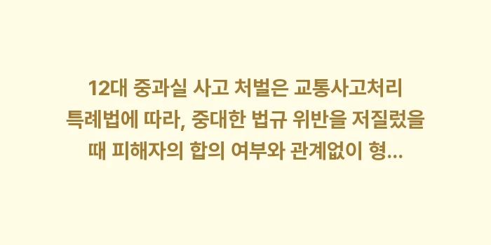 12대 중과실 사고 처벌: 12대 중과실 사고 처벌은... (1)