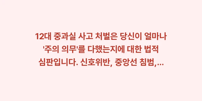 12대 중과실 사고 처벌: 12대 중과실 사고 처벌은... (2)