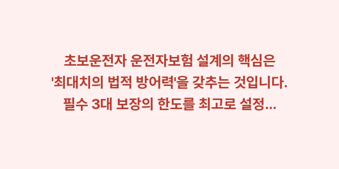 초보운전자 운전자보험 설계: 초보운전자 운전자보험 설계의... (1)