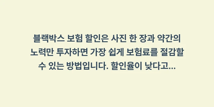 블랙박스 보험 할인: 블랙박스 보험 할인은 사진... (1)