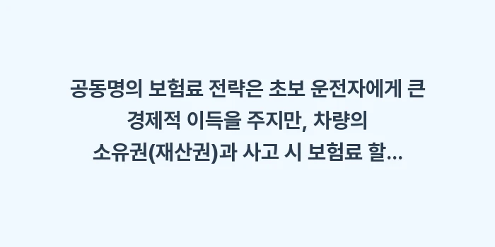 공동명의 보험료: 공동명의 보험료 전략은 초보... (2)