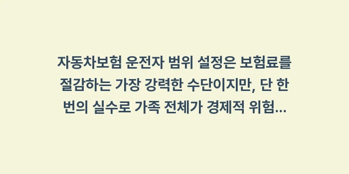 자동차보험 운전자 범위: 자동차보험 운전자 범위 설정... (2)