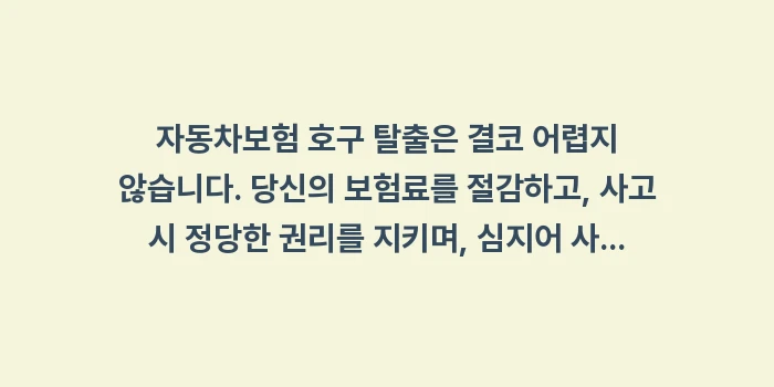 자동차보험 호구 탈출: 자동차보험 호구 탈출은 결코... (2)