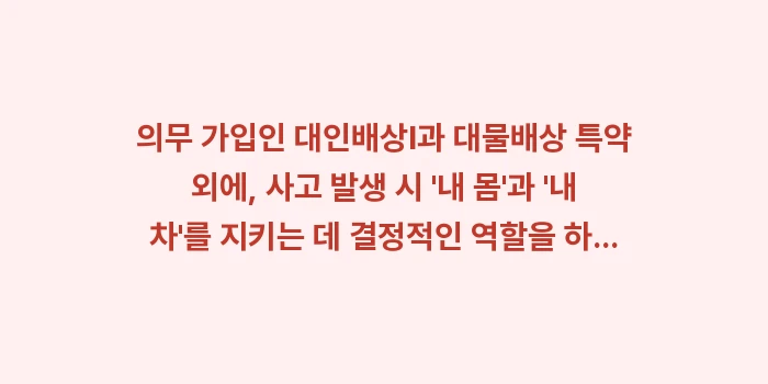 자동차보험료 특약 비교: 의무 가입인 대인배상Ⅰ과 대... (1)