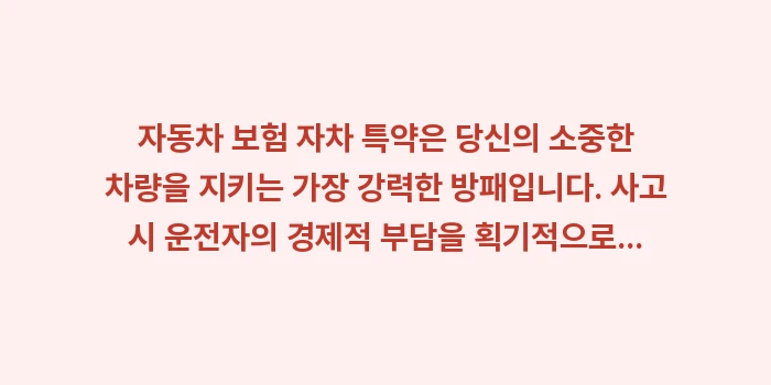 자동차 보험 자차 특약: 자동차 보험 자차 특약은 당... (2)