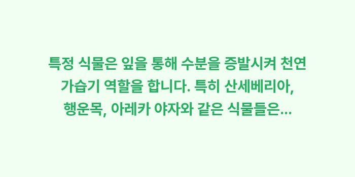 방 안 습도 60%: 특정 식물은 잎을 통해 수분... (1)